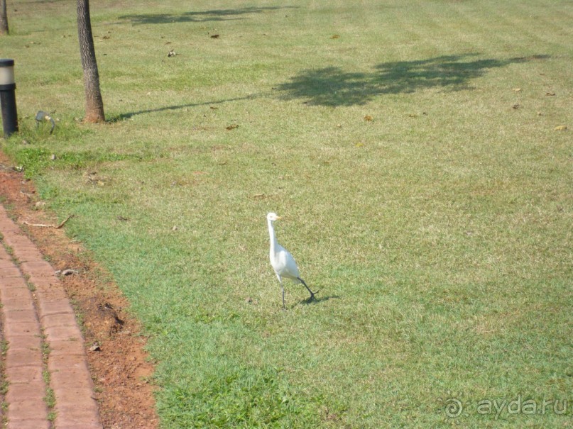 Первое путешествие в Индию