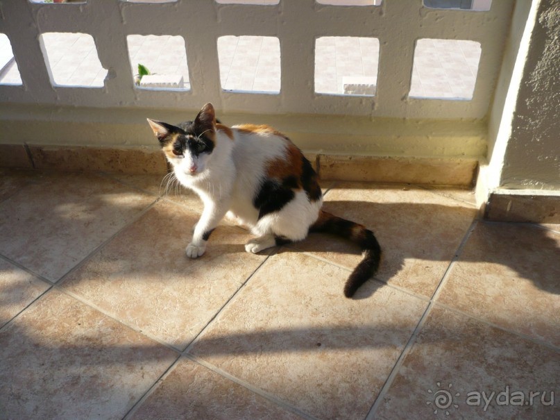 Крит! Мир! Май !