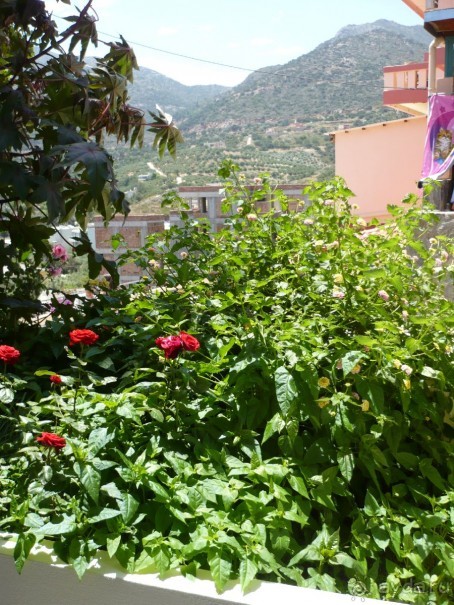 Крит! Мир! Май !