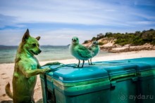 Альбом отзыва "Таиланд - страна улыбок !"