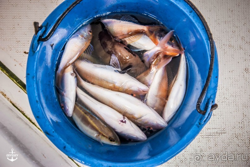 Таиланд - страна улыбок !