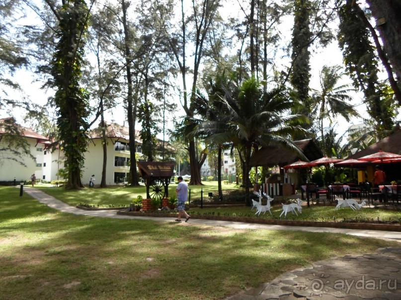 фото Amora Beach Resort