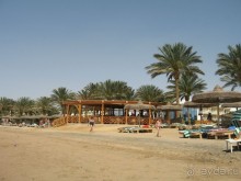 Немного солнца холодной весной