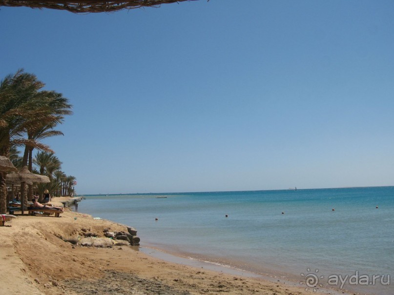 Немного солнца холодной весной