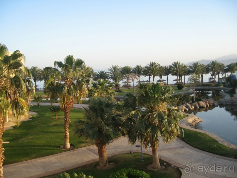 Немного солнца холодной весной