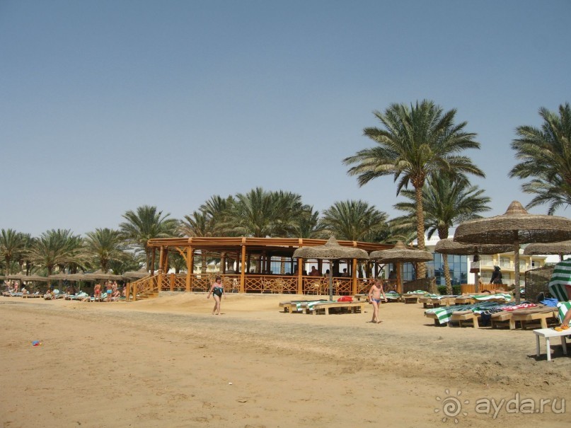 Немного солнца холодной весной