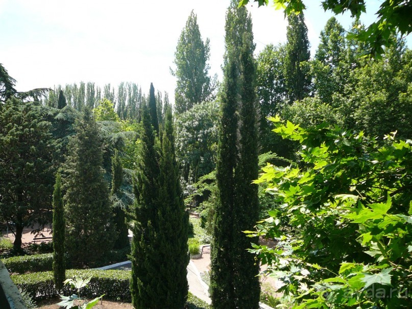 Рекомендую!