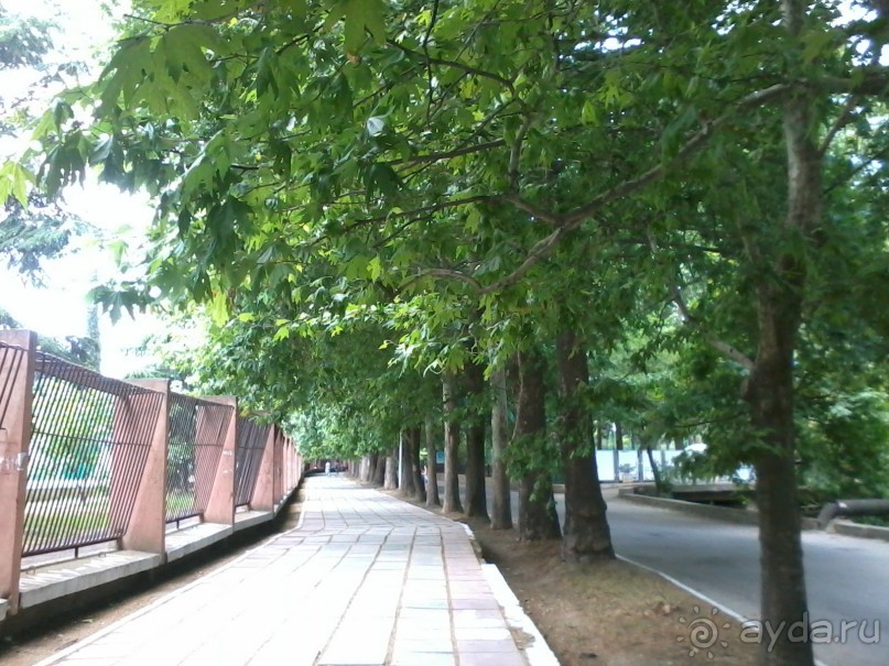 Рекомендую!