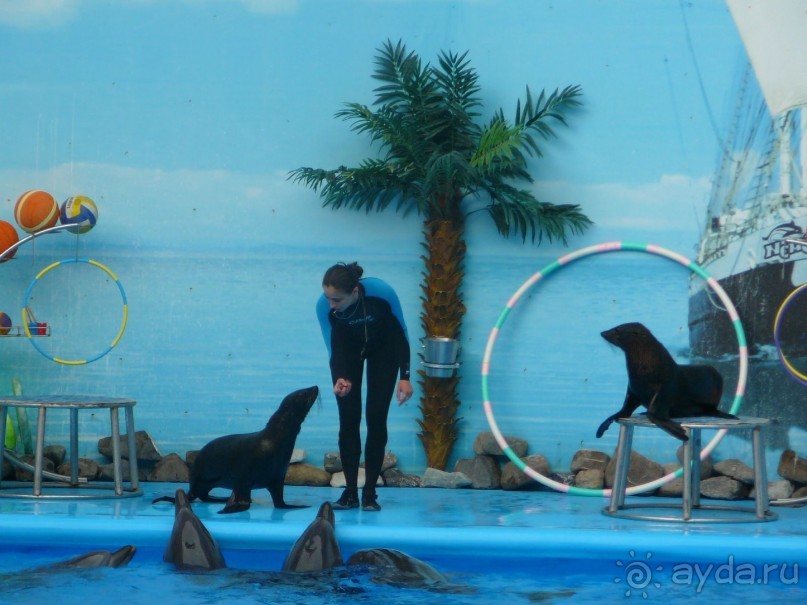 Рекомендую!