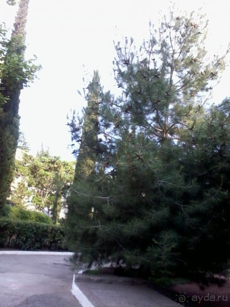 Рекомендую!