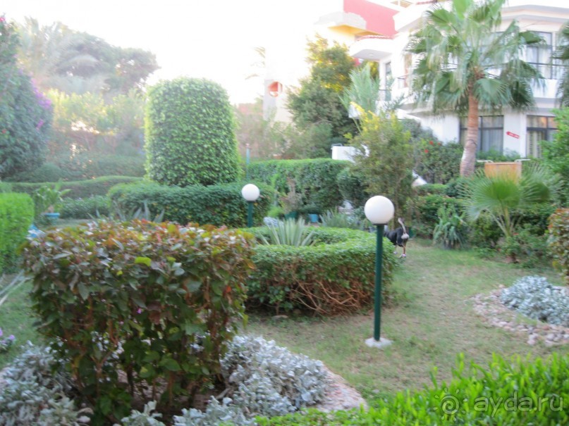 сад у пляжа