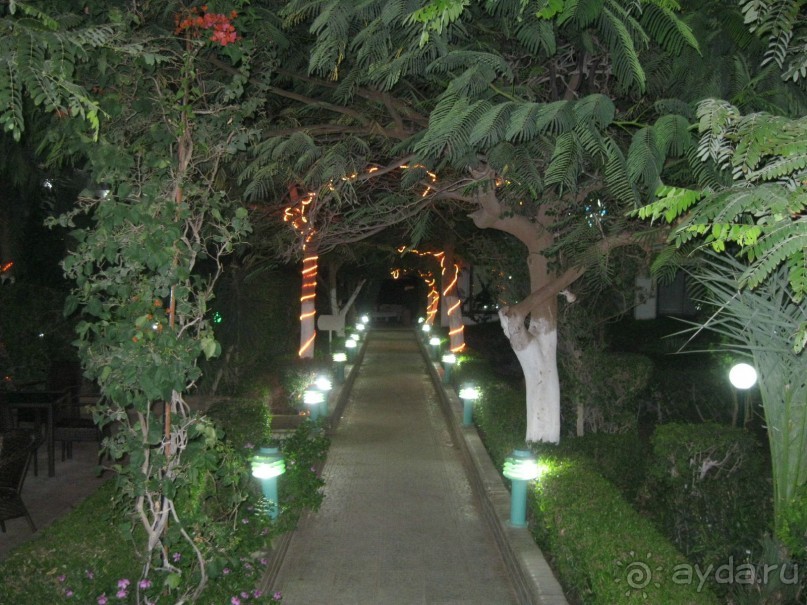 ночная аллея на пляж