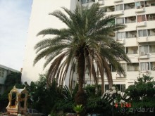 Альбом рассказа "Поездка в Тай 4!!!"