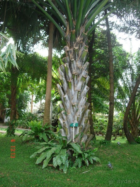 Поездка в Тай 4!!!