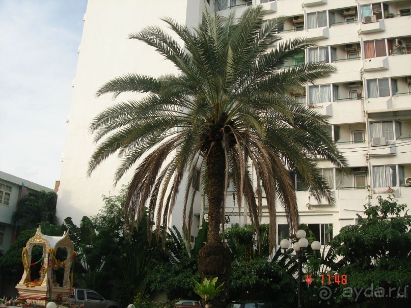 Поездка в Тай 4!!!