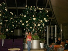 Поездка в Тай 19!!!