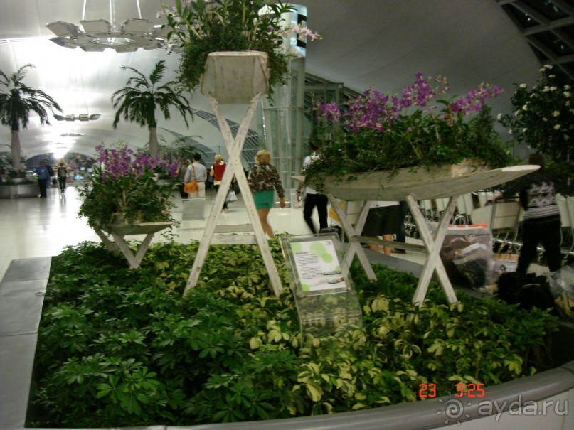 Поездка в Тай 19!!!