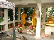 Альбом отзыва ""Паттайская" осень 2013"