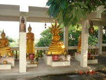 Альбом отзыва ""Паттайская" осень 2013"