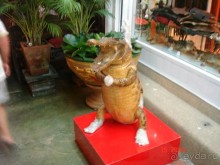 Альбом отзыва ""Паттайская" осень 2013"