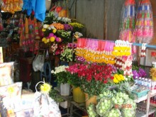 Альбом отзыва ""Паттайская" осень 2013"