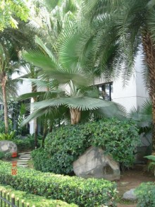 "Паттайская" осень 2013