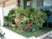 "Паттайская" осень 2013