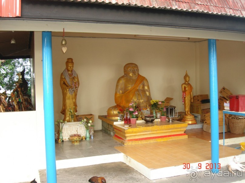 Альбом отзыва ""Паттайская" осень 2013"