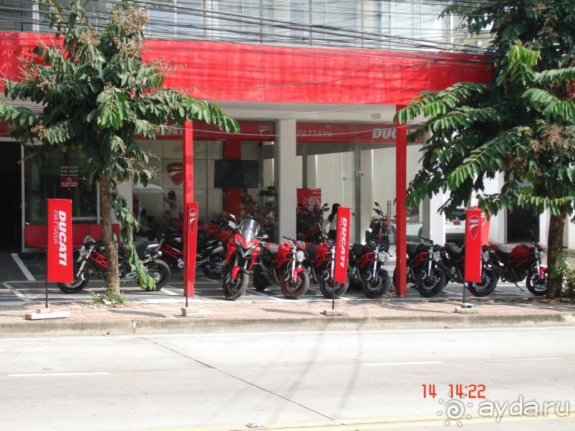 "Паттайская" осень 2013