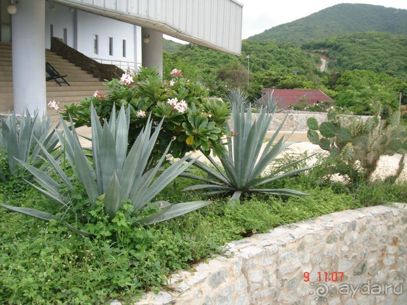 "Паттайская" осень 2013