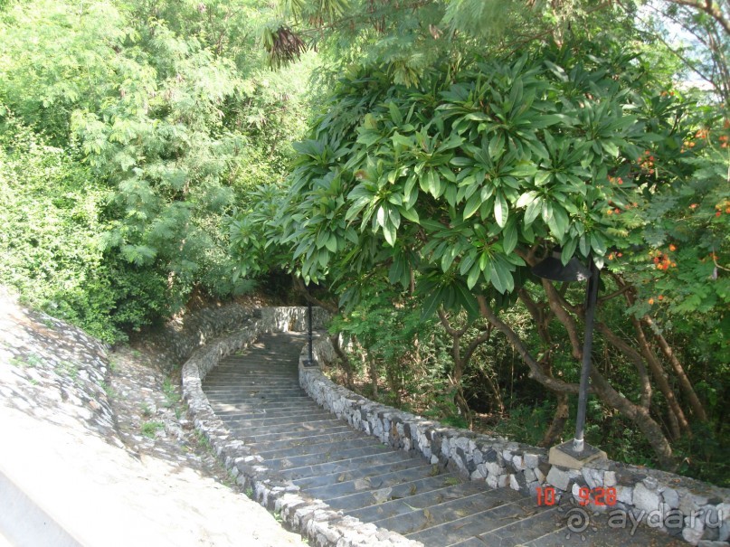 "Паттайская" осень 2013