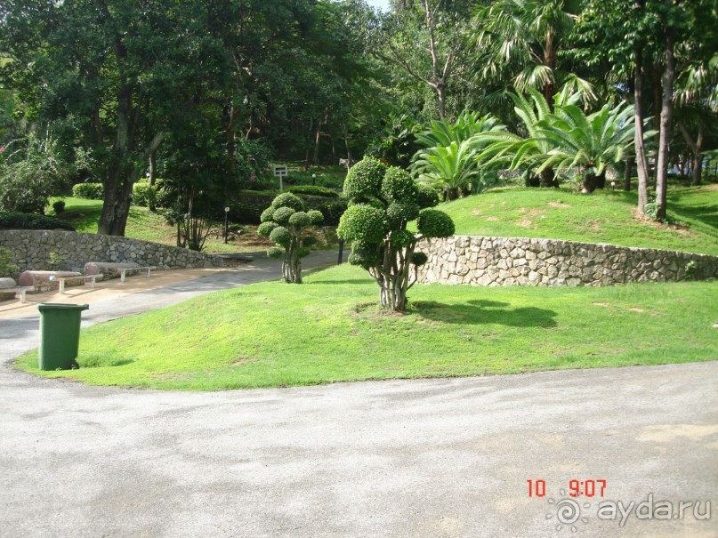 "Паттайская" осень 2013