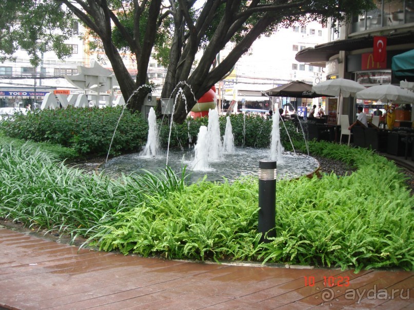 "Паттайская" осень 2013