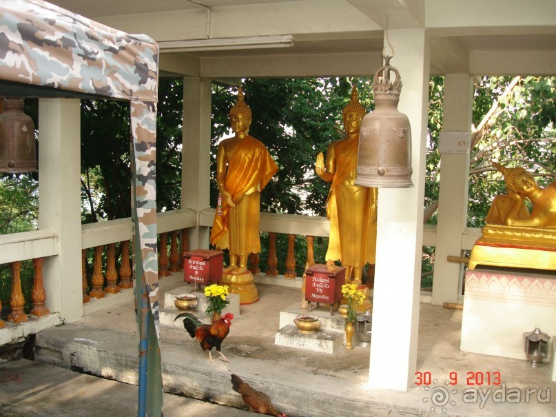 "Паттайская" осень 2013