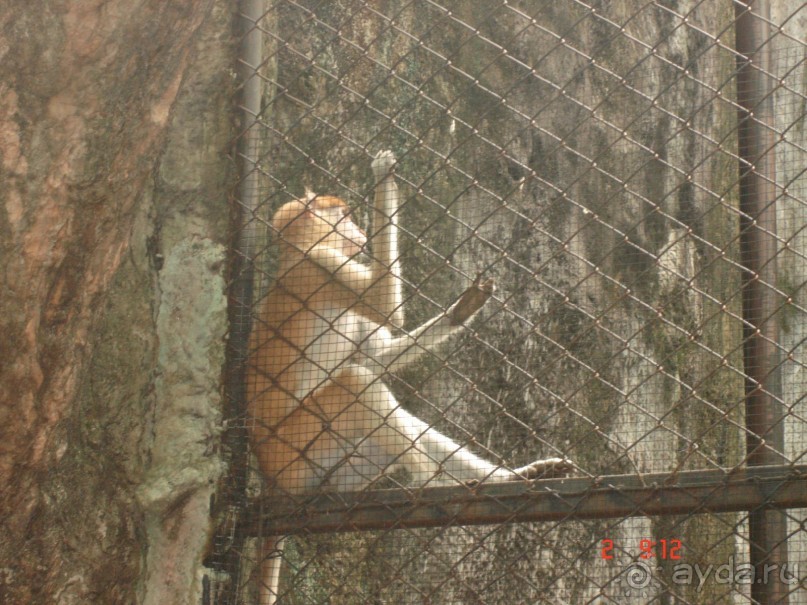 "Паттайская" осень 2013