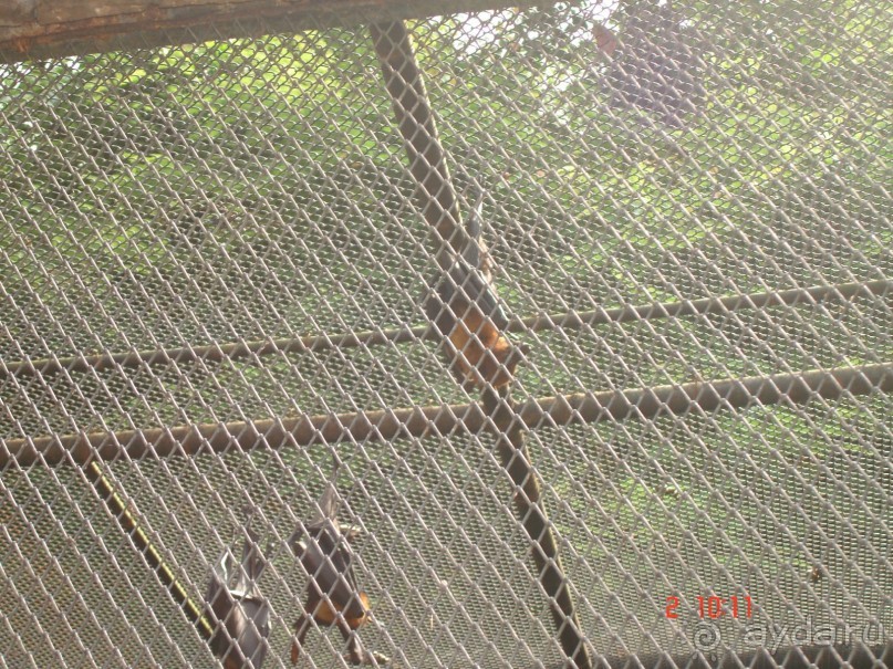 "Паттайская" осень 2013