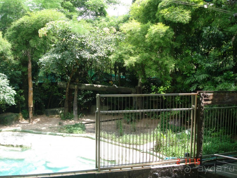 "Паттайская" осень 2013