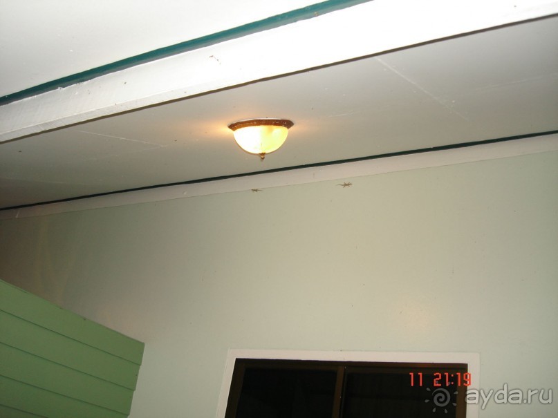 Альбом отзыва ""Паттайская" осень 2013"