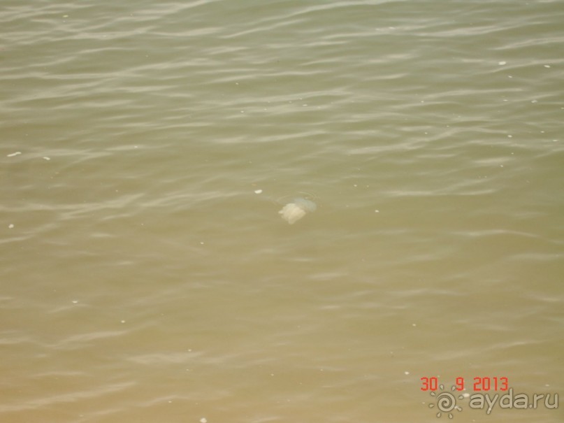 "Паттайская" осень 2013