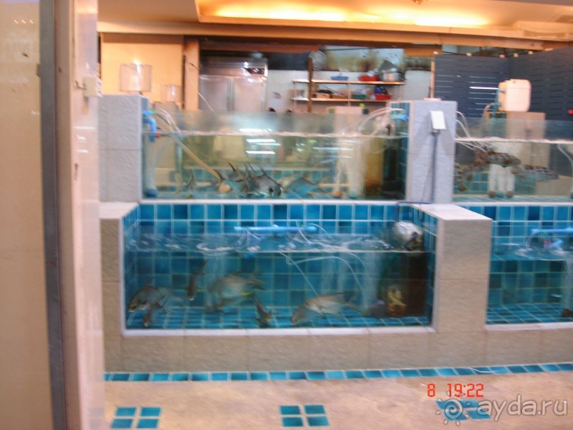 "Паттайская" осень 2013