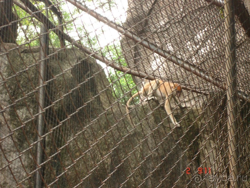 "Паттайская" осень 2013