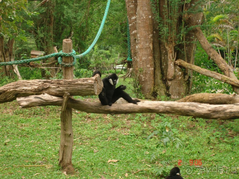 "Паттайская" осень 2013