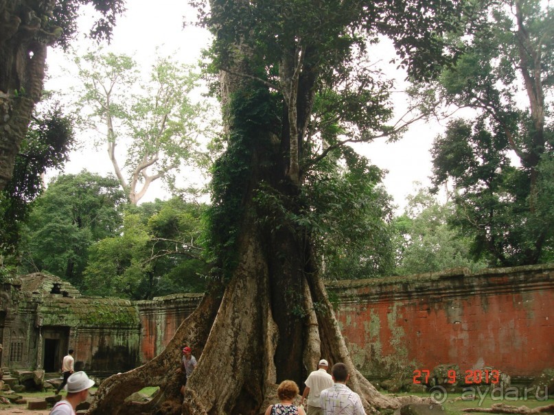 "Паттайская" осень 2013