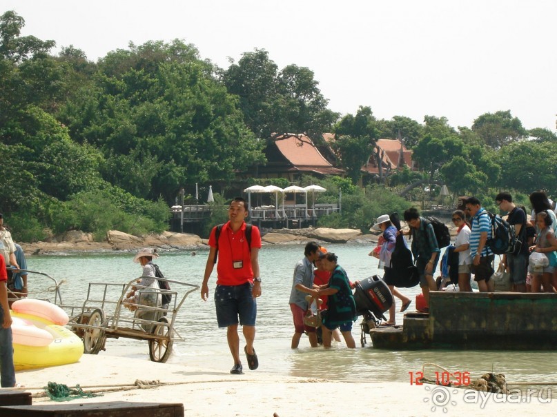 Альбом отзыва ""Паттайская" осень 2013"