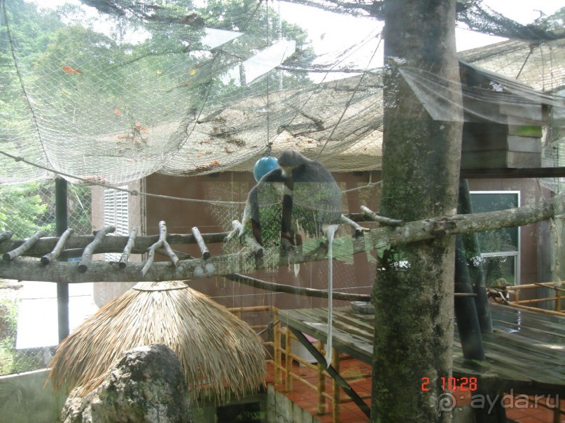 "Паттайская" осень 2013