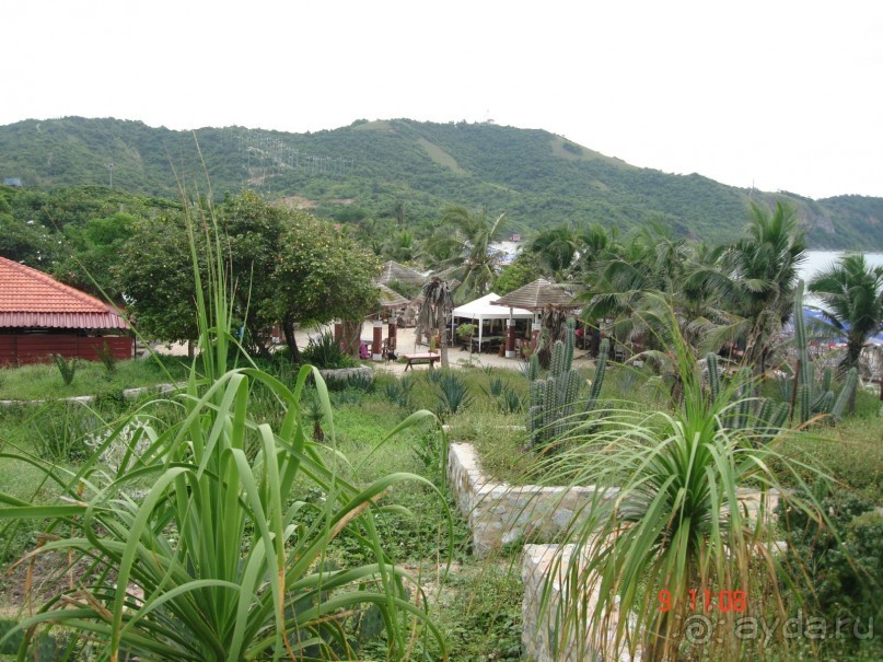 "Паттайская" осень 2013