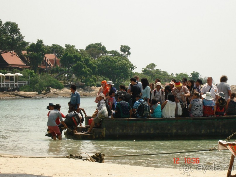 Альбом отзыва ""Паттайская" осень 2013"