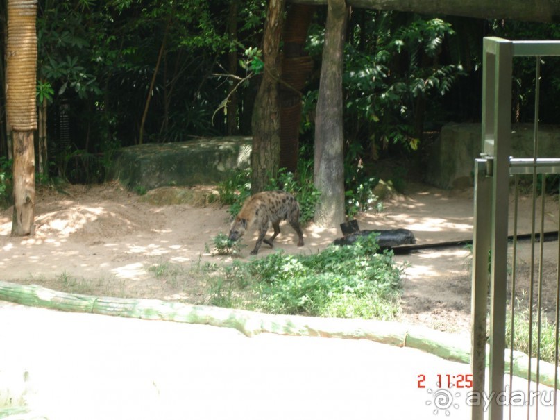 "Паттайская" осень 2013