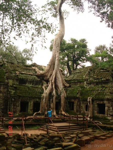 "Паттайская" осень 2013