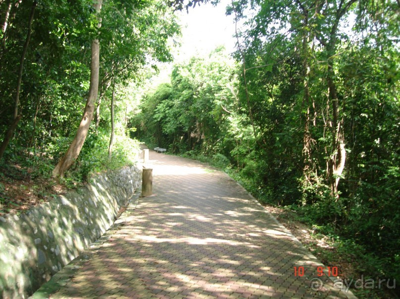 "Паттайская" осень 2013